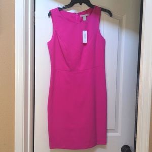 Banana Republic size 6